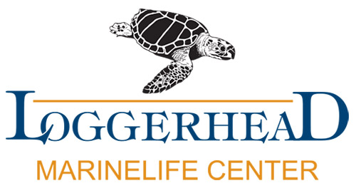 Loggerhead Marinelife center