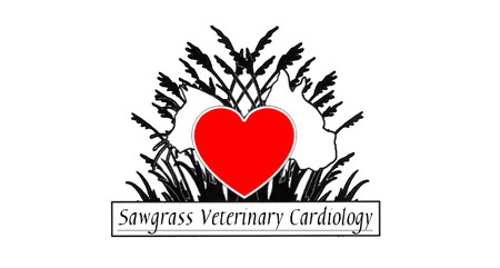 Sawgrass Veterinary Cardiology